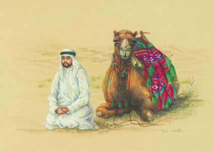 Camels Collection 95.004