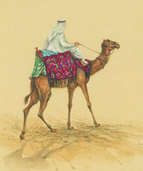 Azam Eisazadeh