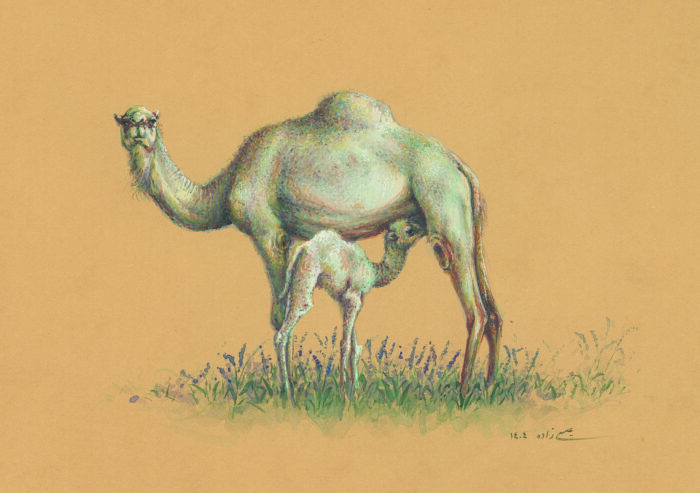 Azam Eisazadeh