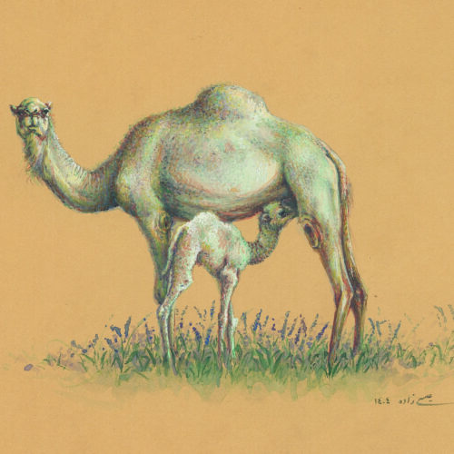 Azam Eisazadeh