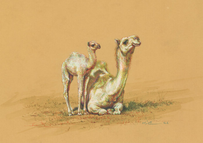 Azam Eisazadeh