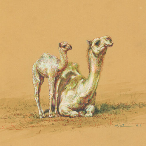 Azam Eisazadeh