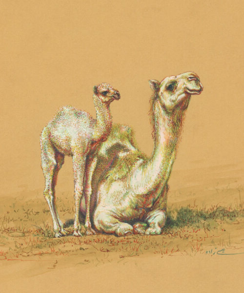 Azam Eisazadeh