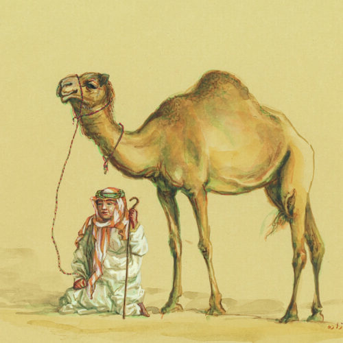 Azam Eisazadeh