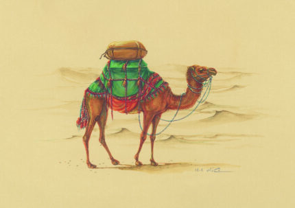 Azam Eisazadeh