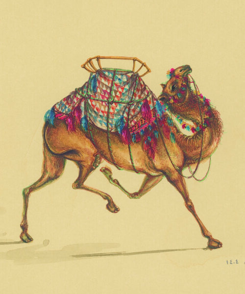 Azam Eisazadeh