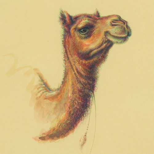 Azam Eisazadeh