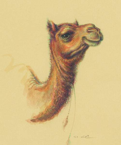 Azam Eisazadeh