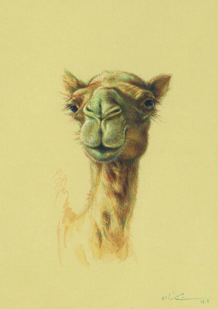 azam eisazadeh