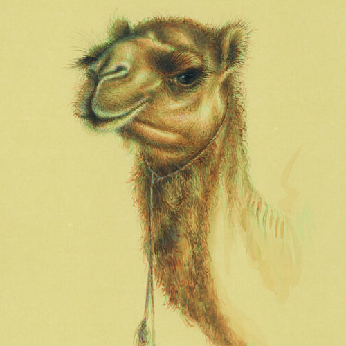 azam eisazadeh