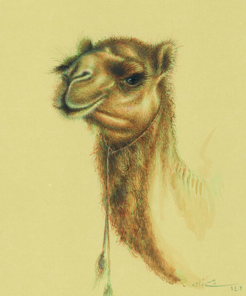 azam eisazadeh