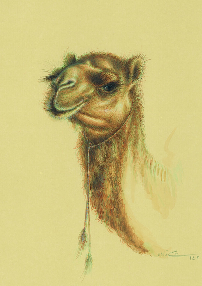 azam eisazadeh