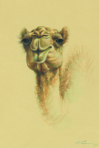 azam eisazadeh
