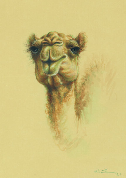azam eisazadeh