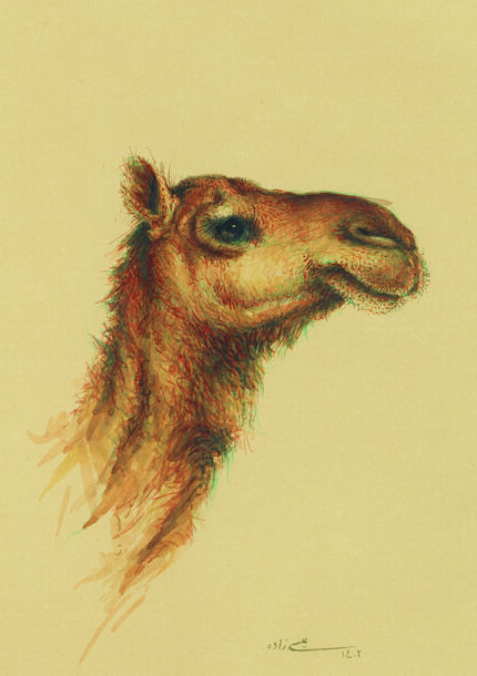 azam eisazadeh