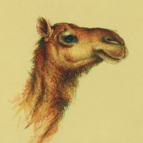 azam eisazadeh