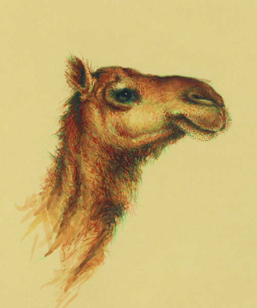 azam eisazadeh