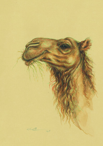 azam eisazadeh