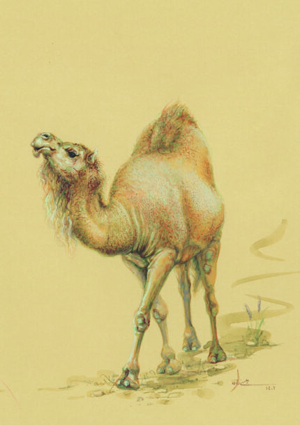 azam eisazadeh