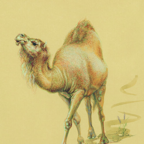 azam eisazadeh