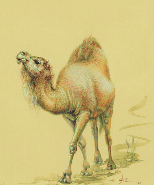 azam eisazadeh