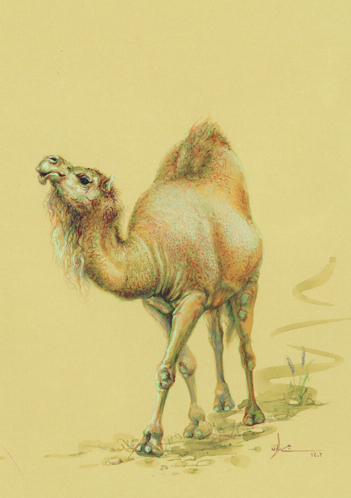azam eisazadeh