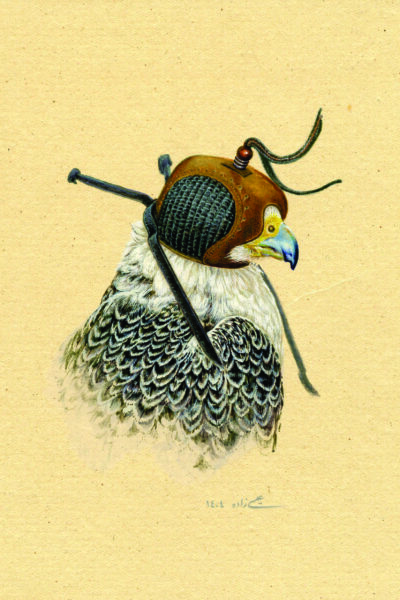 azam eisazadeh