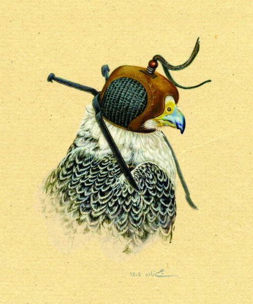 azam eisazadeh
