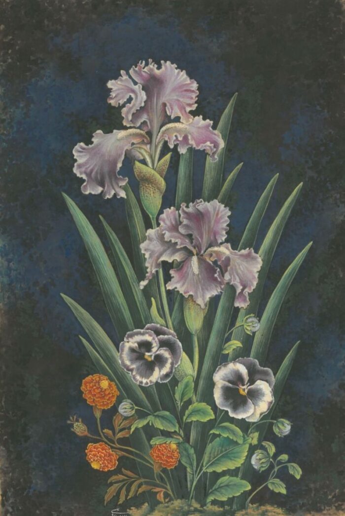 Azam Eisazadeh