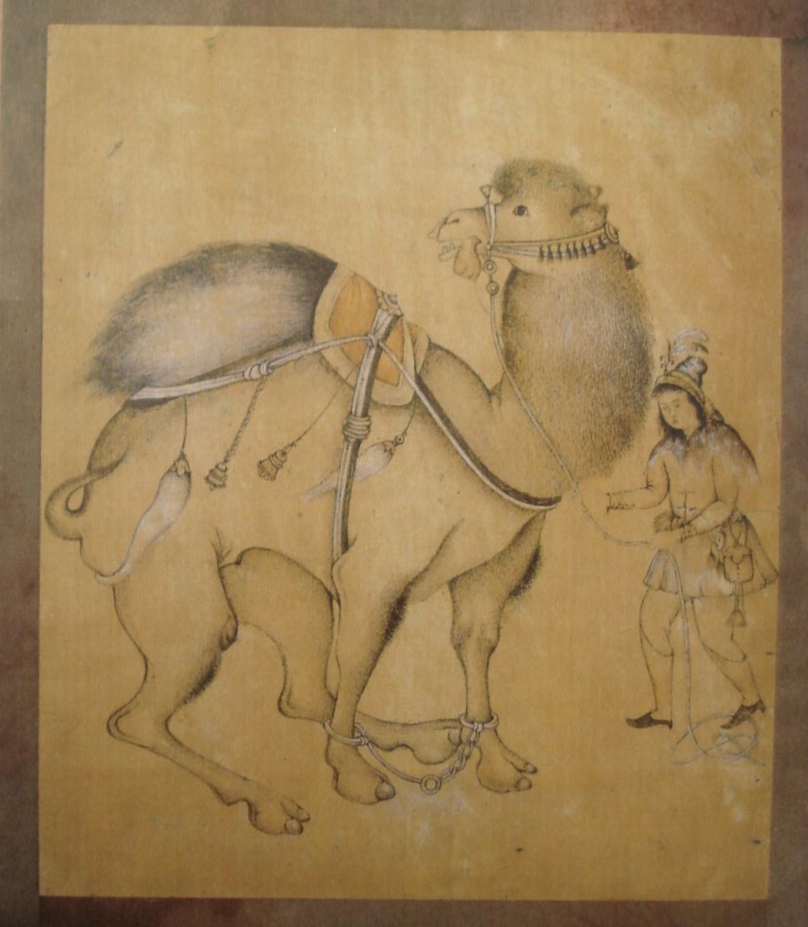 azam eisazadeh